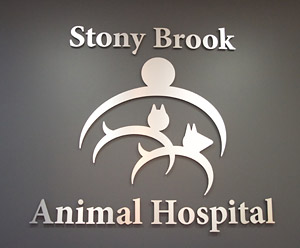 Dog & Cat Boarding in Louisville, KY - Hurstbourne Animal Hospital